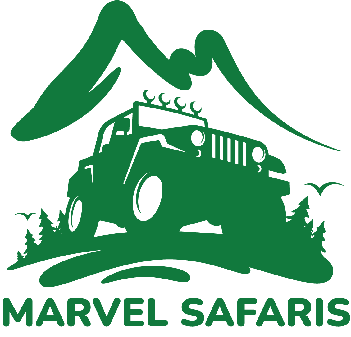 Marvel Safaris